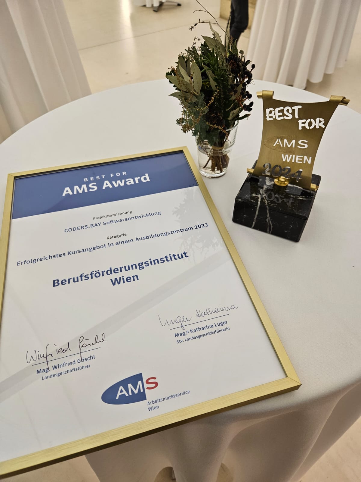 AMS Award 2023 Coders Bay_3.jpeg